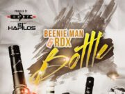 BEENIE MAN X RDX – BOTTLE – TROBAK EMG
