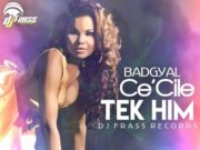 CECILE – TEK HIM – DJ FRASS RECORDS