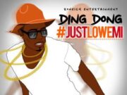DING DONG – JUST LOWE MI – ROMEICH RECORDS