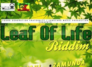 DEEP JAHI – MAMMA AFRICA – LEAF A LIFE RIDDIM – YGF RECORDS