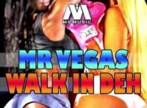 MR VEGAS – WALK IN DEH – MV MUSIC