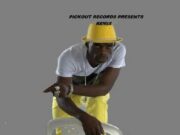 NINJA MAN FT DOUGIE CONSCIOUS – DON SOUND (REMIX) – PICKOUT RECORDS
