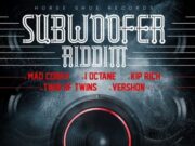 SUB WOOFER RIDDIM (FULL PROMO) – HORSE SHOE RECORDS