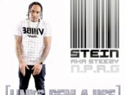 STEIN – LINKS DEM A USE – STEIN