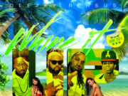 DEEJAY REHSUS – WHINE IT UP – MIXTAPE