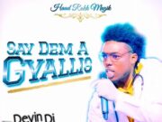 DEVIN DI DAKTA – SAY DEM A GYALLIS – 6 FIGGA RIDDIM – HAAD ROKK MUZIK