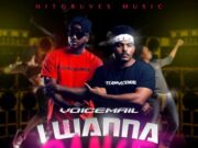 VOICEMAIL – I WANNA DANCE – HITGRUVES MUSIC