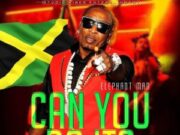 ELEPHANT MAN – CAN YOU DO IT – STUDIO VIBES ENTERTAINMENT