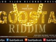 SENEBKAY FT LIVITY GYAL – FI DA WAH GWAN – GODSTA RIDDIM – SHADO VIJON RECORDS