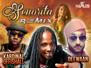 I OCTANE x KARDINAL OFFISHALL x DEEWUN x ZJ SPARKS – SENORITA REMIX – TWELVE 9 RECORDS