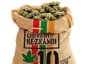 KEZNAMDI – 10 POUND – NATURAL HIGH MUSIC