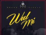 SHAC – WULL MI – RURAL AREA PRODUCTION