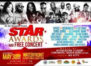 2015 STAR AWARDS SHONE BRIGHT