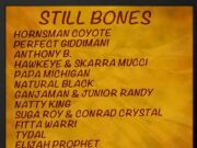 STILL BONES SELECTION – HOUSE OF RIDDIM PRODUCTIONS