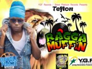 TEFLON – RAGGA MUFFIN – BICYCLE FRAME RIDDIM – YGF RECORDS _ STREET PLATINUM