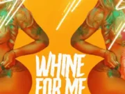 MAVADO – WHINE FOR ME (EXPLICIT & RADIO) – BLACK SHADOW & MANSION RECORDS