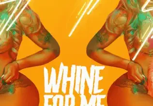 MAVADO – WHINE FOR ME (EXPLICIT & RADIO) – BLACK SHADOW & MANSION RECORDS