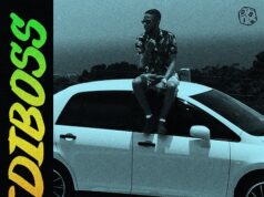 45DIBOSS – LOVE POWER AND SOUND MIND – DISE RECORDS