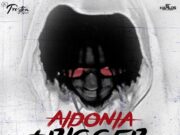 AIDONIA – TRIGGER WORK IT – DANCEHALL BULLY RIDDIM – TROYTON MUSIC
