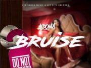 AIDONIA – BRUISE (EXPLICIT & RADIO) – HIT CITY RECORDS