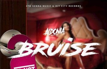 AIDONIA – BRUISE (EXPLICIT & RADIO) – HIT CITY RECORDS