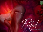 ALKALINE – PERFECT – ROAD TO SUCCESS – DJ FRASS RECORDS