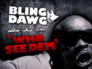 BLING DAWG – WHO SEE DEM – CASHFLOW RECORDS