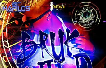 BRUK WILD RIDDIM – BLACKSPYDA RECORDS