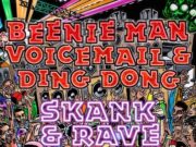 BEENIE MAN FT VOICEMAIL & DING DONG – SKANK AND RAVE – MAXIMUM SOUND