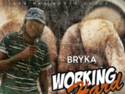 BRYKA – WORKING HARD – NEW DAY MUSIC GROUP