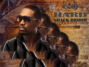BUSY SIGNAL – GO HARD – SHACK RIDDIM – BRANDISH RECORDS