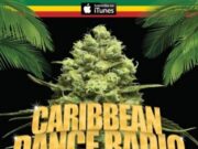 CARIBBEAN DANCE RADIO PRESENTS PALM TREES AND GREEN LEAVES