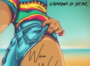 CHARMA D STAR – WIRE WAISTLINE – KEV STAR RECORDS