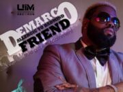 DEMARCO – ALLERGIC TO BADMIND FRIEND – UIM RECORDS