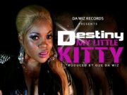 DESTINY SPARTA – MY LITTLE KITTY – RAW & CLEAN – DA WIZ RECORDS