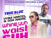 DON ANDRE & VYBZ KARTEL – WINE YUH WAIST SUH – TRUE BLUE FAMILY RECORDS