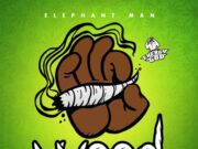 ELEPHANT MAN – WEED – ENERGY GOD PRODUCTIONS