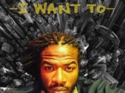 GYPTIAN – I WANT TO – SILVER BIRDS RECORDS
