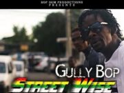GULLY BOP – STREET WISE (BEFORE MI BUSS) – THE TRUTH RIDDIM – BOP DEM PRODUCTIONS