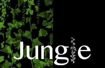 HEAD QUATTAZ – JUNGLE – QUATTAZ MUSIC