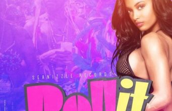 I OCTANE & BUNJI GARLIN FT SEANIZZLE – ROLL IT – SEANIZZLE RECORDS