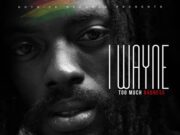 I WAYNE – TOO MUCH BADNESS – NOTNICE RECORDS