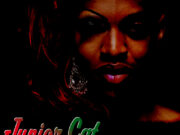 JUNIOR CAT – NO ROCK