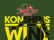 KONSHENS – WINE YUH BODY – JAMBE AN RIDDIM – TECHNIQUES