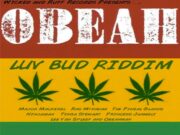 NINJAMAN – SENSIMILLA IN THE MORNING – LUV BAD RIDDIM – WICKED & RUFF RECORDS