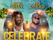 NC DREAD x SEYI SHAY – CELEBRATE – BASHMENT MUSIC SA