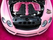 PINK RIDDIM (FULL PROMO) – REKIT RALF MUSIC