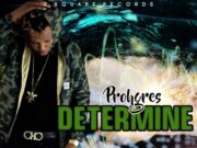 PROHGRES – DETERMINE – MANY WAVES RIDDIM – E SQUARE RECORDS