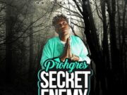 PROHGRES – SECRET ENEMY – DANCEHALLARENA _ PREZZI