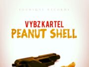 VYBZ KARTEL FT SHADY SQUAD – PEANUT SHELL – MUSIC VIDEO